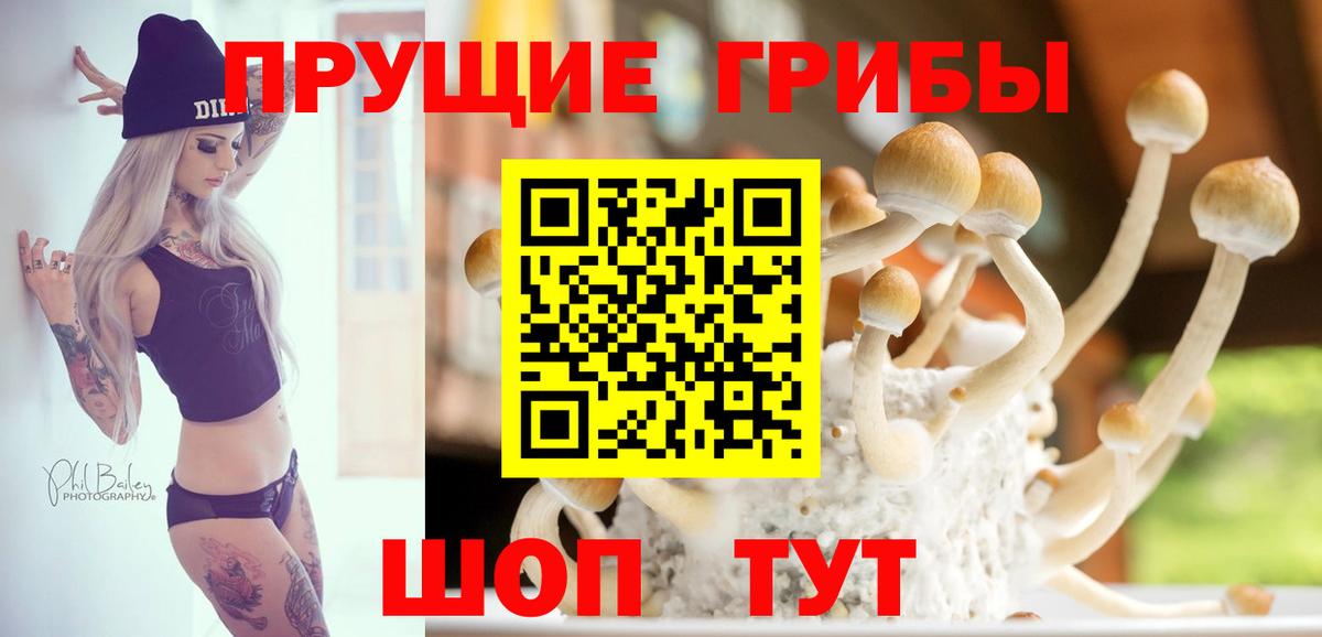 Псилоцибиновые грибы прущие грибы  что такое   Вход с VPN  Дивногорск  Галлюциногенные грибы Cubensis 